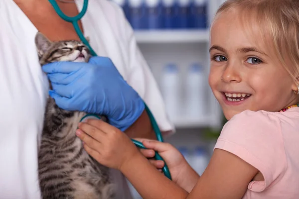 Kleines Mädchen Das Seinen Kätzchen Herzschlag Mit Einem Stethoskop Beim — Stockfoto