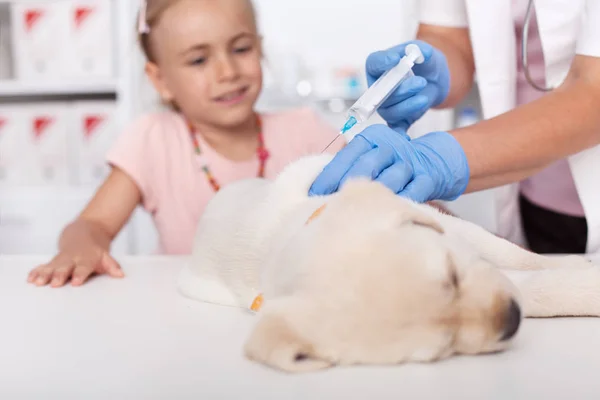 Menina Assistindo Seu Filhote Cachorro Recebendo Uma Vacina Veterinário Sentindo — Fotografia de Stock