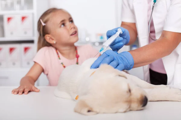 彼女の子犬の犬ワクチン フィールドの医療のプロ 浅い深さで心配して探して獣医師で若い女の子 — ストック写真