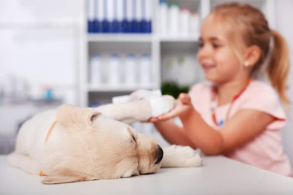 犬に焦点を当てる 獣医師で傷つけられた子犬犬の足をもつ少女 — ストック写真