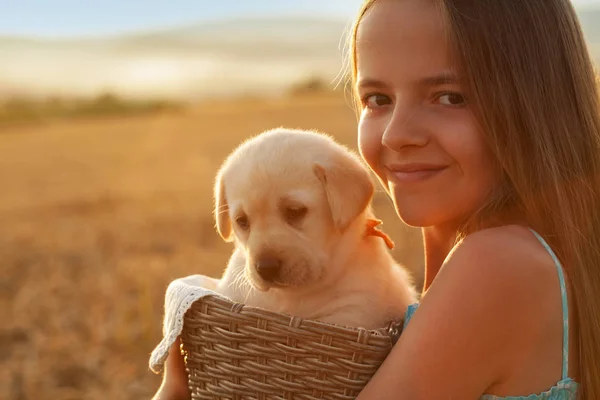 バスケット クローズ アップ夕日で逆光で彼女の愛らしいラブラドールの子犬を保持している幸せな若い女の子 — ストック写真