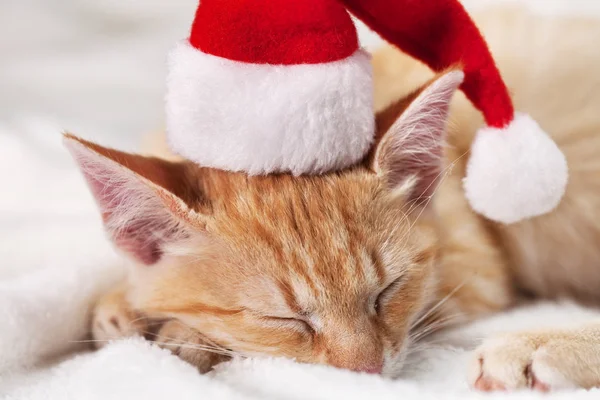 可爱的生姜小猫戴圣诞老人帽子睡着了柔软的白色毯子等待圣诞节 特写镜头 — 图库照片