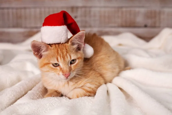 かわいい生姜猫クリスマス気分で取得 白い毛布の上に横たわるサンタ帽子をかぶって — ストック写真