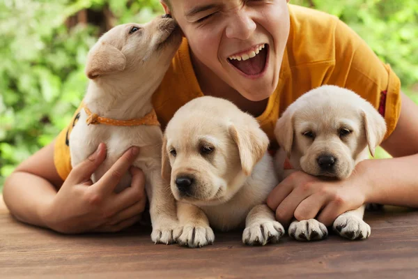 Genç oğlan tutan onun sevimli Labrador Puppies, sahip olan eğlence ve — Stok fotoğraf