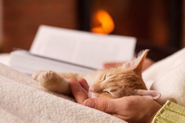 Onu avuç içinde uyuyan kedi kafası tutan kadın okuma
