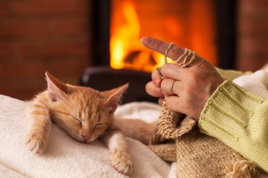 Kadın onun yorgun Kitten s ile şöminenin önünde örme