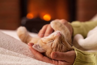 Kadın eller ateş önünde uyuyan bir kedi okşayarak