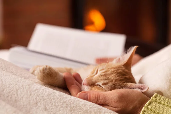 Mulher lendo segurando sua cabeça dormindo gatinho em sua palma — Fotografia de Stock