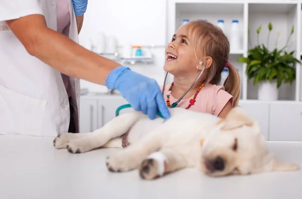 Kleines Mädchen bei der Untersuchung ihres Labrador-Welpen — Stockfoto