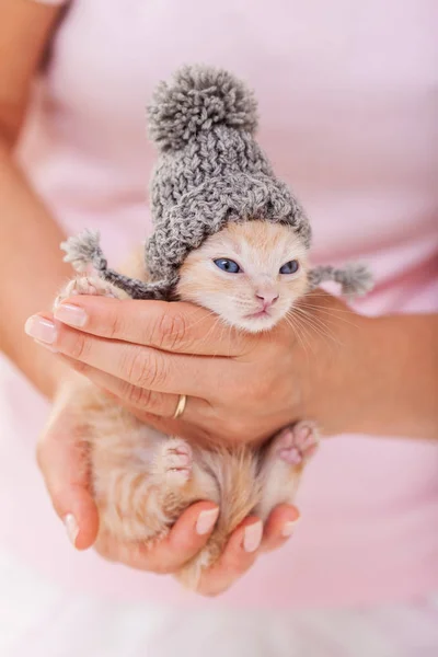 Söt kattunge värmer upp efter bad-klädd i en ull hatt — Stockfoto