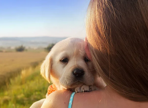Jovem Segurando Seu Cachorro Ombro Close Retrato Labrador — Fotografia de Stock