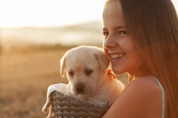 Lycklig Flicka Håller Sin Lilla Valp Hund Korg Tittar Solnedgången Stockbild