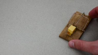 Fare kapanı peynir koymak el mans