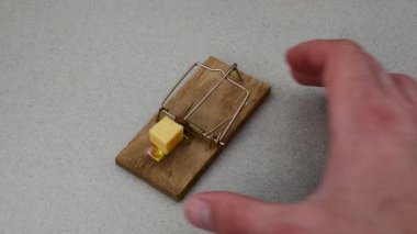 Fare kapanı parça peynir ile