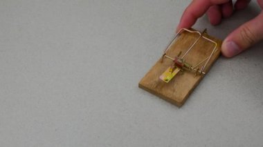 Tablo basit fare kapanı