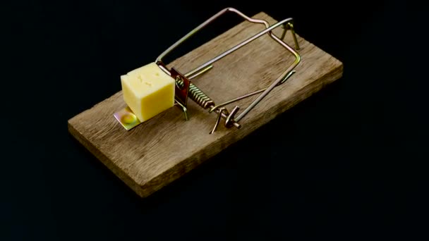 Isolated mouse trap with cheese on the black background — Stock Video