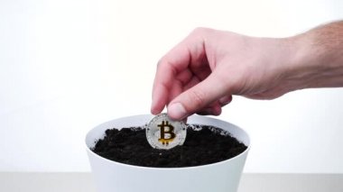 Gümüş bitcoin toprağa dikim