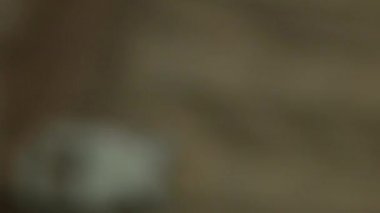 Asker uneformed elinde taktik silah