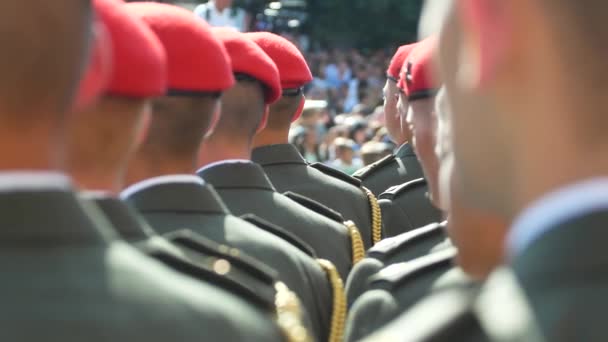 Στρατιωτικό χαιρετισμό σε μια τάξεις στρατιώτες — Αρχείο Βίντεο