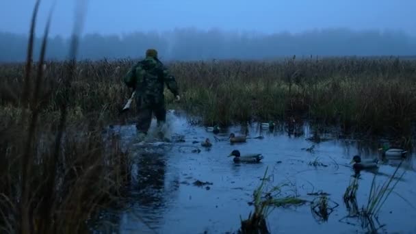 猎人跑在水上为被杀害的鸭子刺激鸭子假人 — 图库视频影像