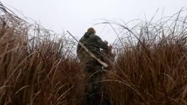 Hunter with gun in camouflage goes throuh swamps footpath — Stock Video