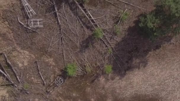 Zone de rayonnement de Tchernobyl. Bâtiments isolés parmi les arbres. Vue aérienne . — Video