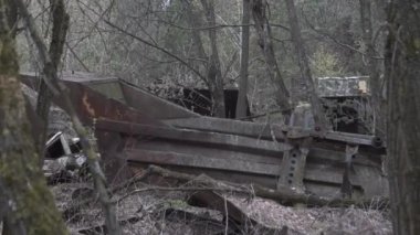 Nükleer felaketten sonra Çernobil bölgesinde yaşam