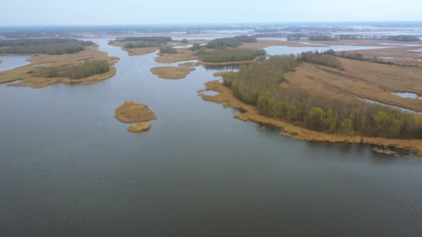 Aero landskape do rio delta Dnepr. Imagens de drones — Vídeo de Stock