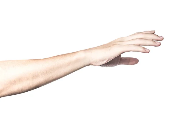 白い背景に孤立した美しい手 — ストック写真