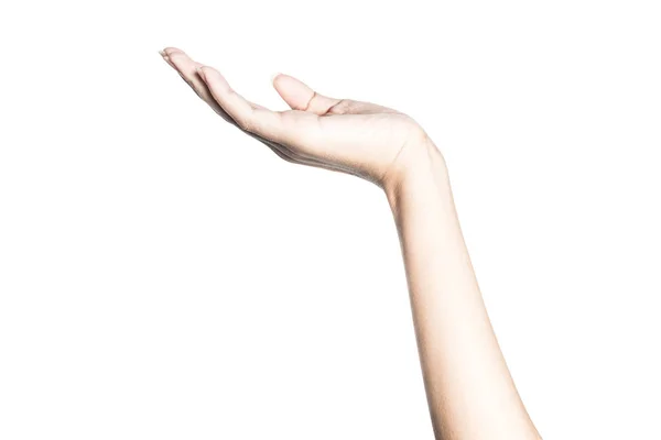 Beautiful  hand isolated on white background — Stock Photo, Image