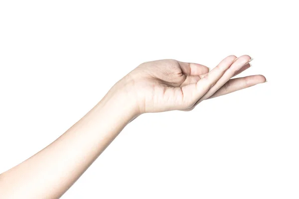 Beautiful  hand isolated on white background — Stock Photo, Image