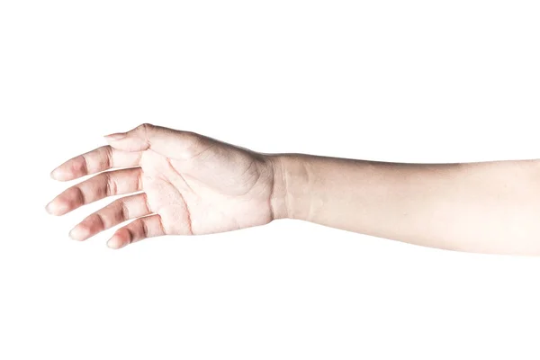 Hand Open And Ready To Help Or Receive Gesture Isolated On White Background With Clipping Path Helping Hand Outstretched For Salvation Finger Woman Stock Photo