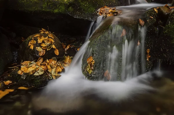 Herbst Blick Auf Einen Bach Mit Wasserfällen Und Steinen — Stockfoto