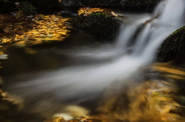 Herbst Blick Auf Einen Bach Mit Wasserfällen Und Steinen — Stockfoto