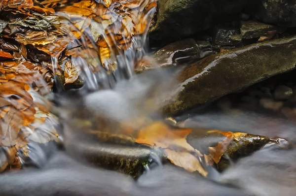 Podzimní Pohled Říčky Vodopády Kameny — Stock fotografie