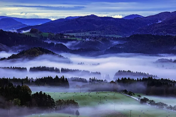 Foggy Matin Dans Paysage Romantique Suisse Tchèque — Photo