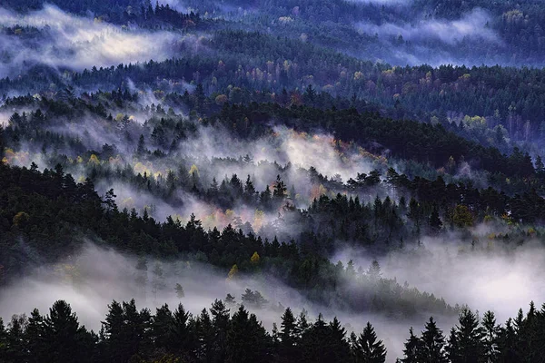 Утренний Вид Смешанного Леса Туманом Чешской Швейцарии — стоковое фото