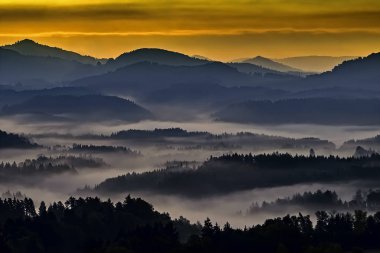 View of the foggy romantic landscape Czech Switzerland/Czech Republic/