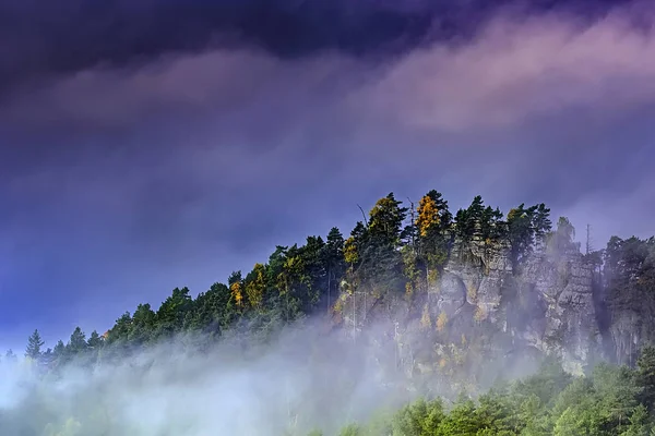 Туманное Утро Романтическом Пейзаже Чешской Швейцарии Чехии — стоковое фото