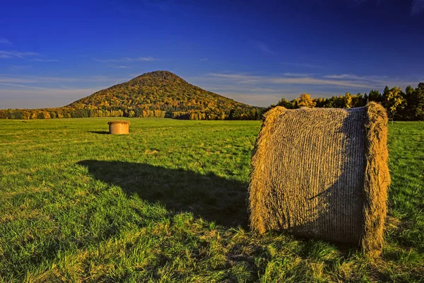 View Autumn Landscape Silage Meadow — Stock Photo, Image