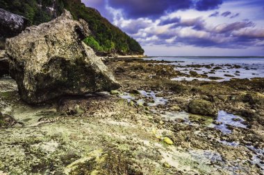 Düşük tide taşlarla, deniz görünümü