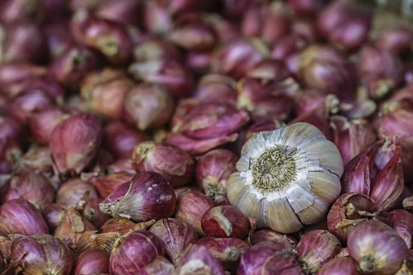 Weergave Van Één Knoflook Een Groep Van Uien — Stockfoto