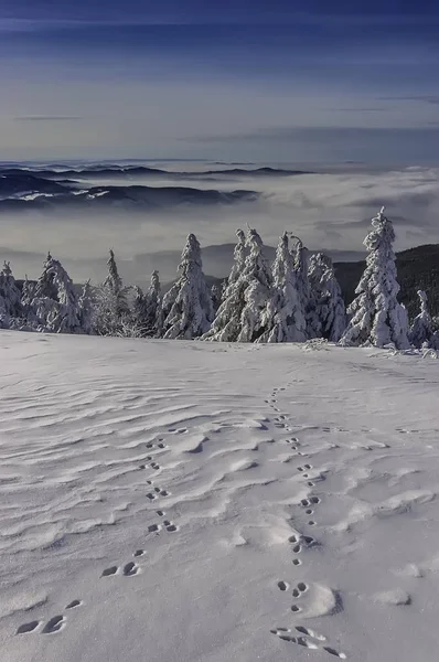 En vy av ett vinterlandskap från toppen av Radhost Mountain — Stockfoto