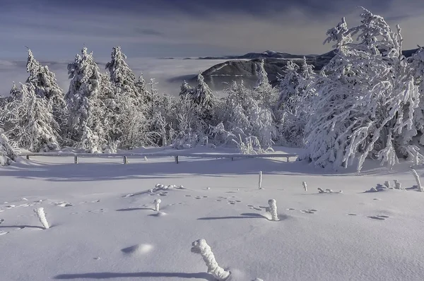 Een weergave van een winterlandschap van de top van Radhost berg — Stockfoto