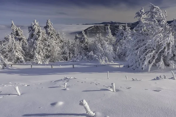 En vy av ett vinterlandskap från toppen av Radhost Mountain — Stockfoto