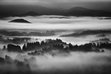 Kırsalda sisli bir sabah