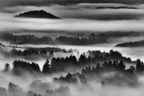 Dimmig morgon på landet — Stockfoto