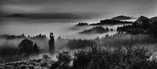 Hilly landscape with fog — Stock Photo, Image