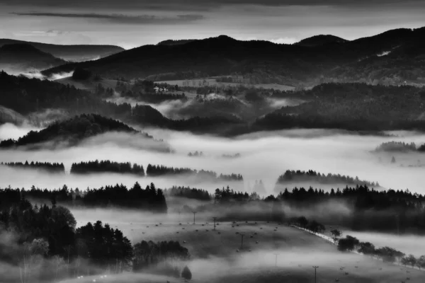 Kopcovitá krajina s mlha — Stock fotografie