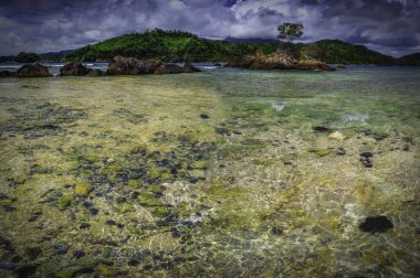 Ufukta tropikal bir ada ve yüzeyin altındaki renkli taşları ortaya çıkaran berrak, şeffaf bir su manzarası..